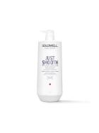 Goldwell Dualsenses Just Smooth Taming Conditioner 1000 ml