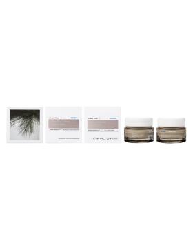 Korres Black Pine 4D Bio-ShapeLift Feuchtigkeitscreme 40 ml