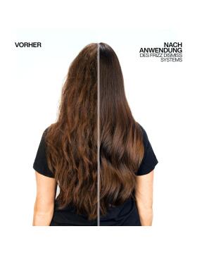 Redken Frizz Dismiss Shampoo 300 ml