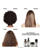 LOréal Professionnel Absolut Repair Molecular Maske 250 ml