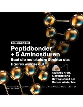 LOréal Professionnel Absolut Repair Molecular Trio Discovery Set