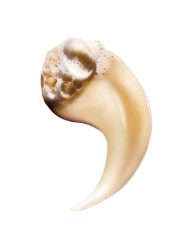 LOréal Professionnel Absolut Repair Refill Shampoo...