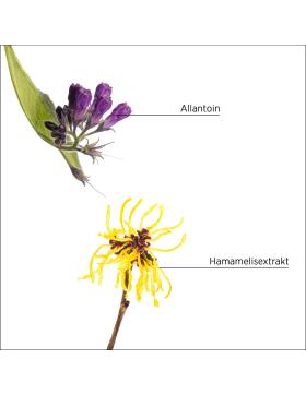 System Professional Lipid Code Purify Lotion 125 ml