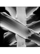 Sebastian Professional Penetraitt Rescue Repair Conditioner 200 ml