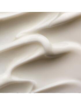 Olaplex N° 3 PLUS Complete Repair Treatment 250 ml