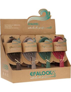 Efalock Autum Green Ocean Brush Detangle Bürstendisplay 12 Stück